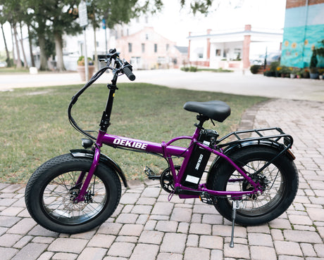 Eco-Fat Tire Collection